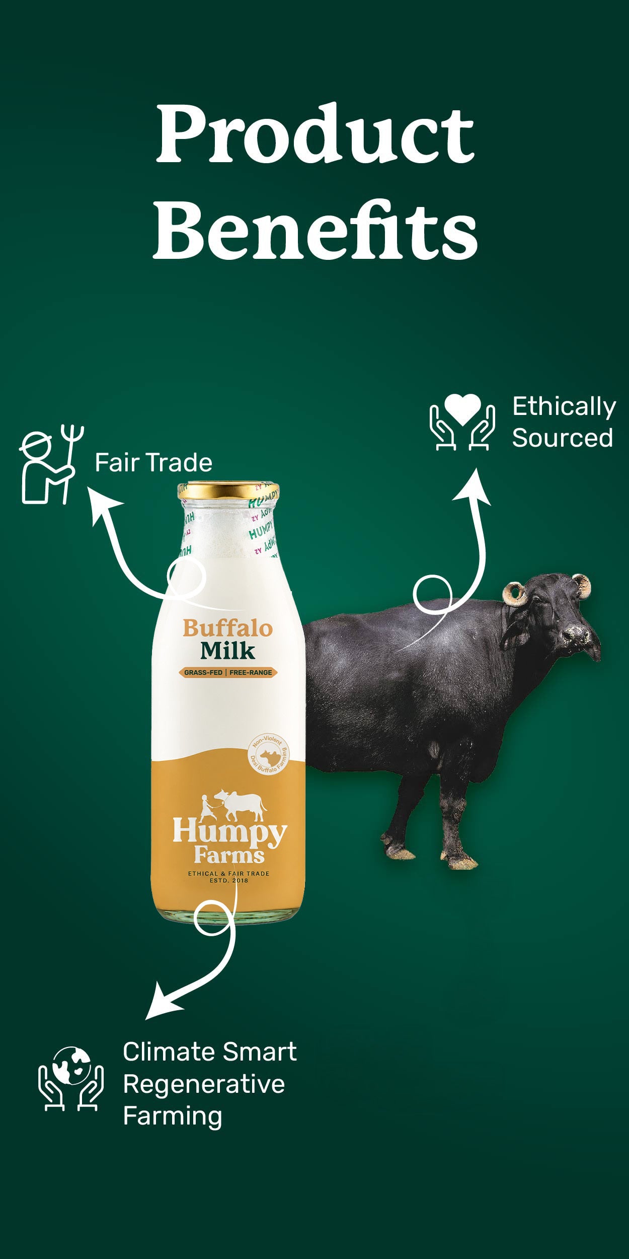 Desi Buffalo Milk (Glass Bottle)