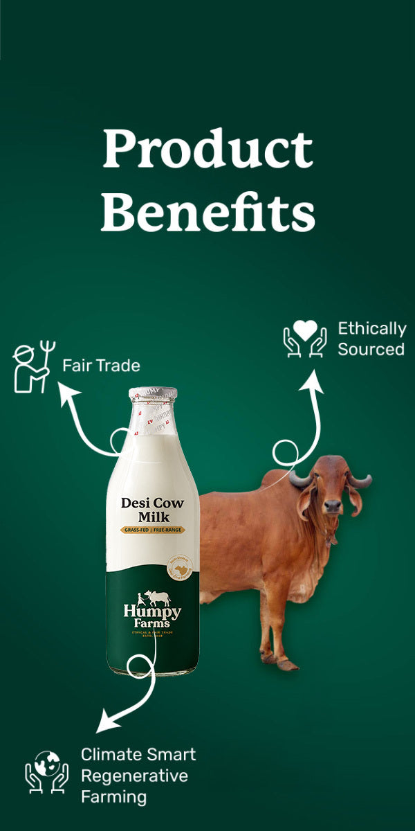 Desi Cow's Milk (Glass Bottle)