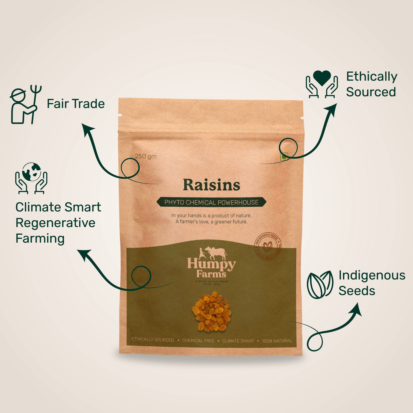 Raisins