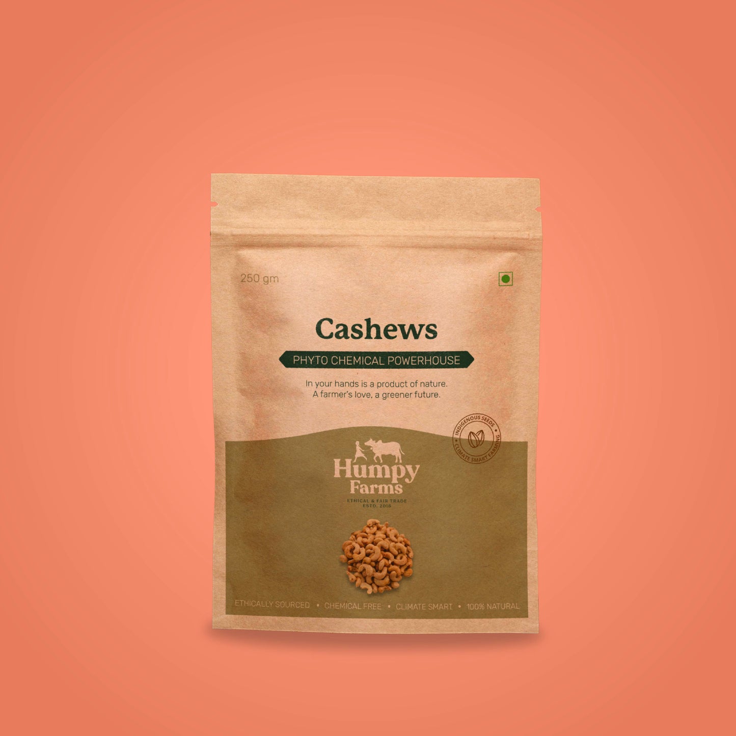 Cashews