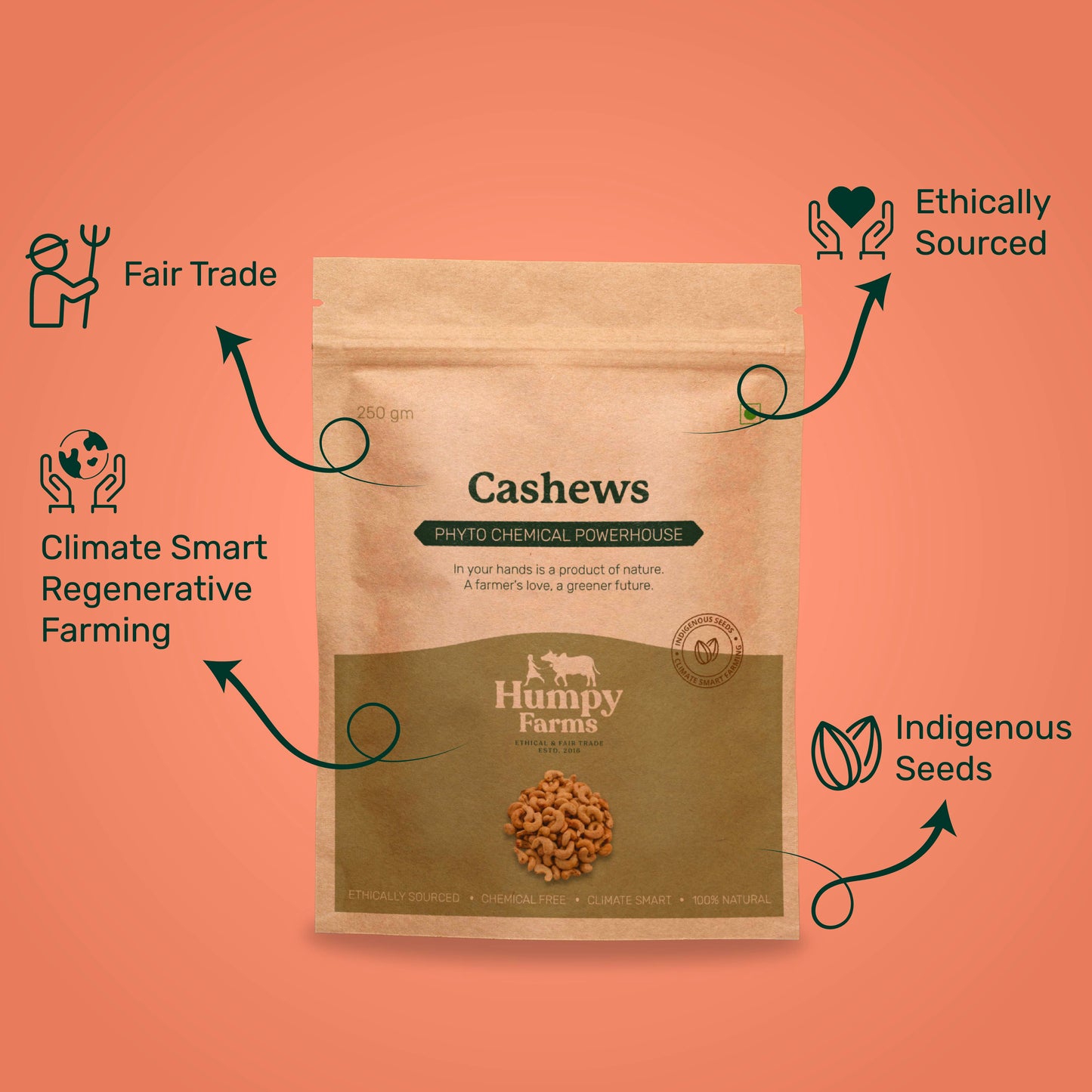 Cashews