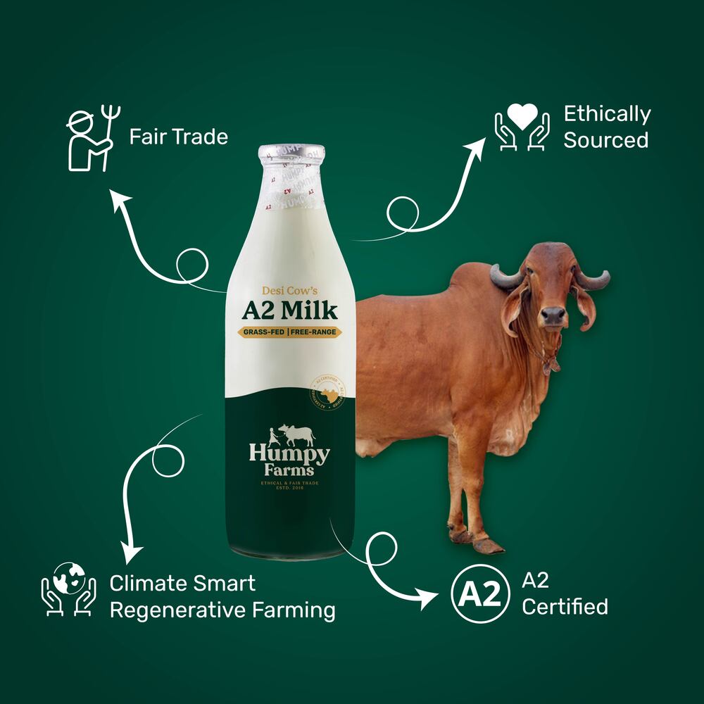 Desi Cow's Milk (Glass Bottle)