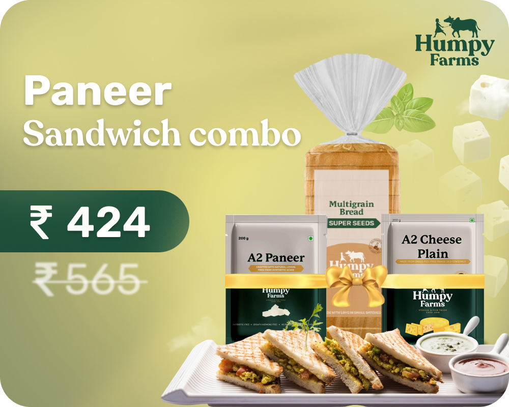 Paneer Sandwich Combo