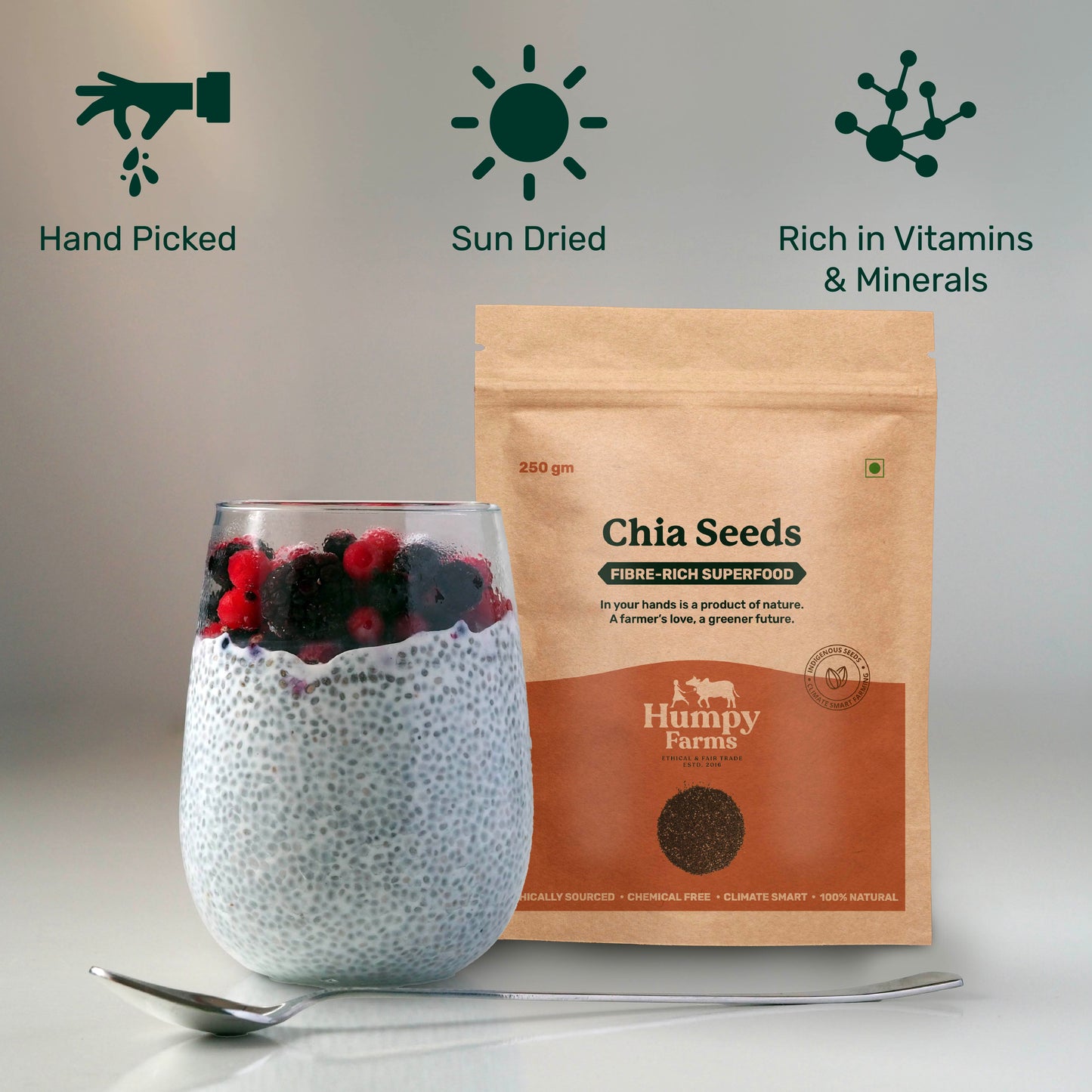 Chia Seeds