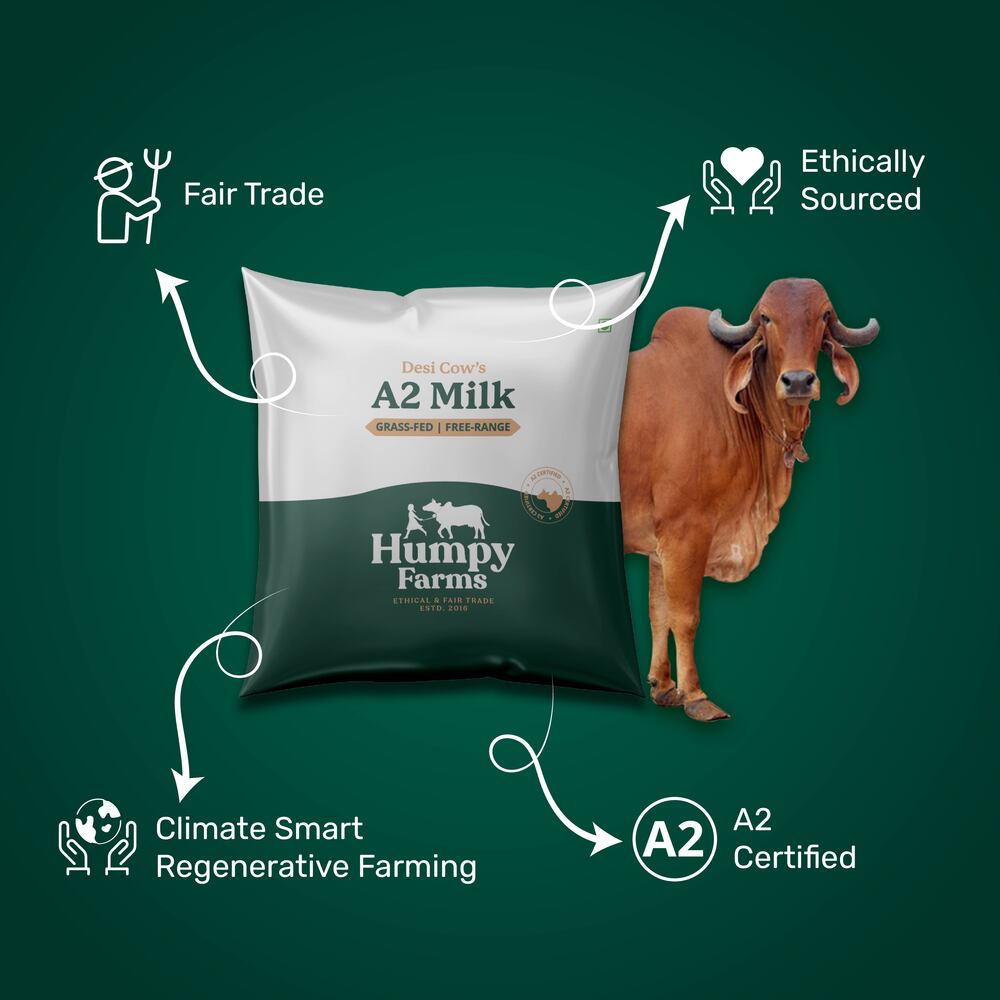 Desi Cow Milk (Pouch)