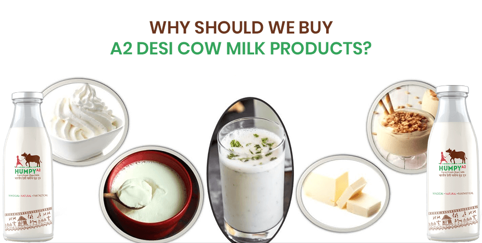 WHY SHOULD WE BUY A2 DESI COW MILK PRODUCTS?