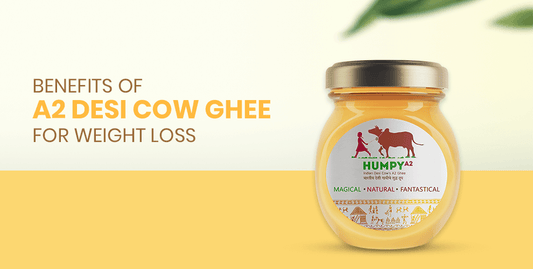 BENEFITS OF A2 DESI COW GHEE FOR WEIGHT LOSS