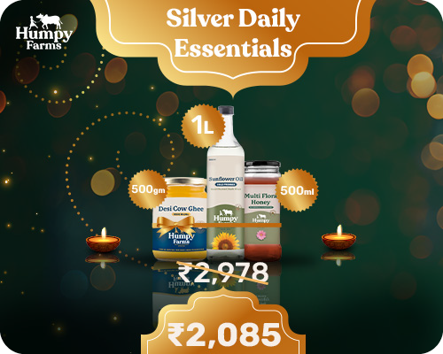 Silver Daily Essentials