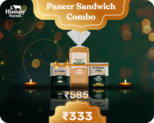 Paneer Sandwich Combo