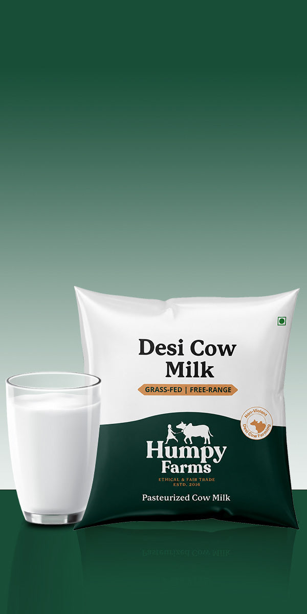 Desi Cow Milk (Pouch)