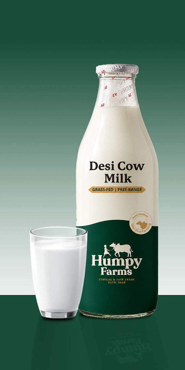 Desi Cow's Milk (Glass Bottle)