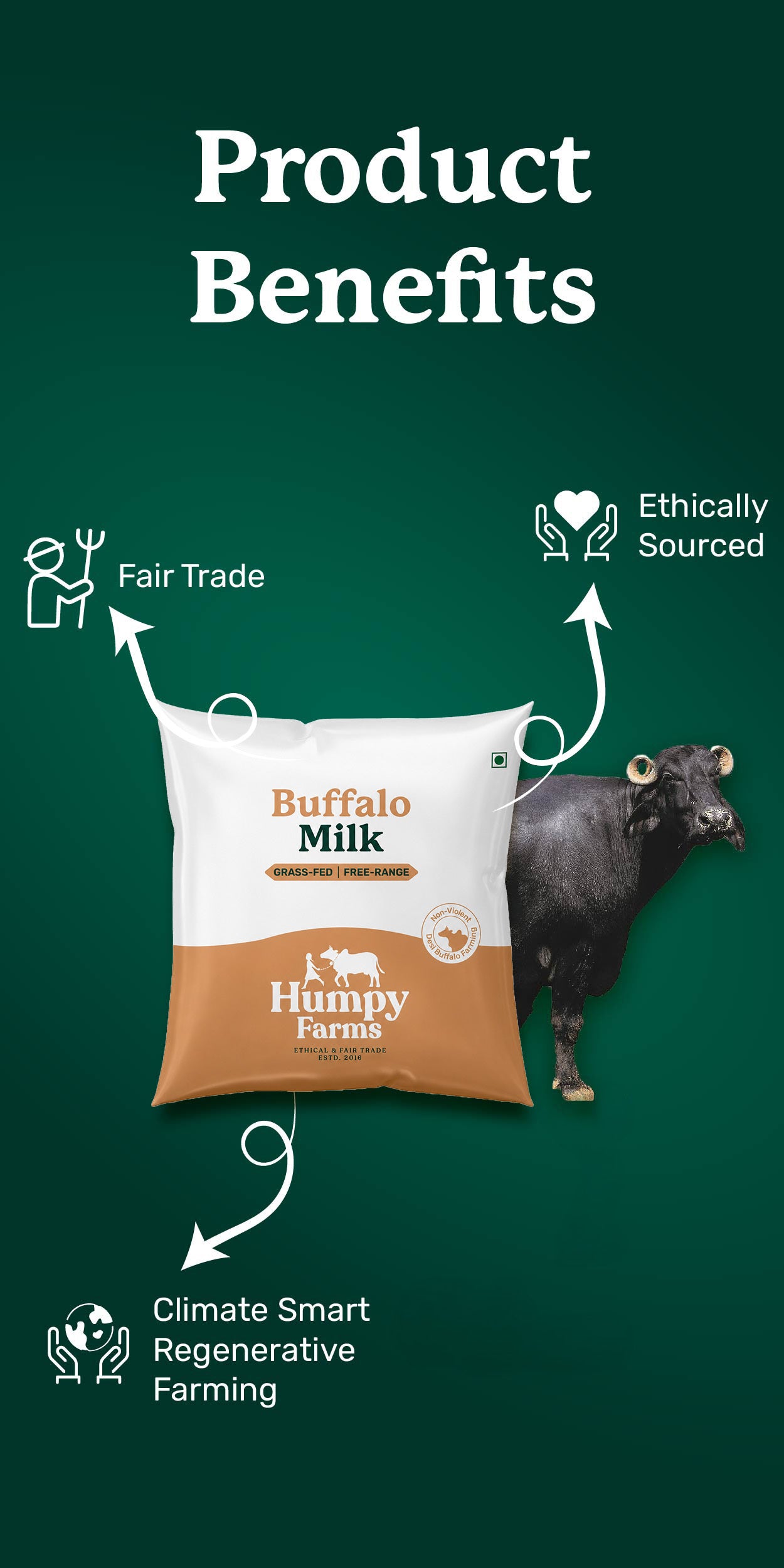 Desi Buffalo Milk (Pouch)