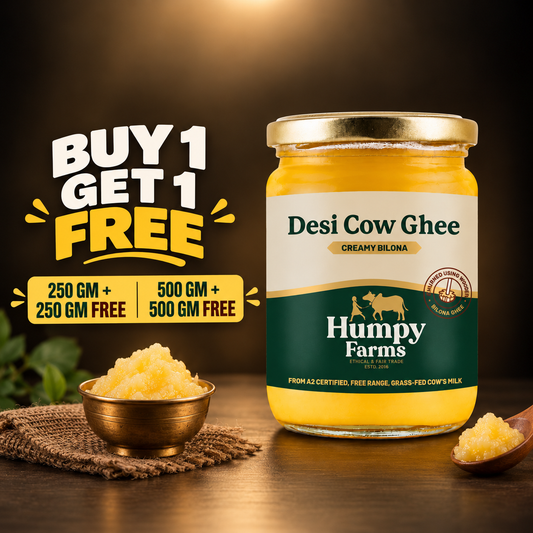 Creamy Bilona Ghee - Buy 1 Get 1 Free