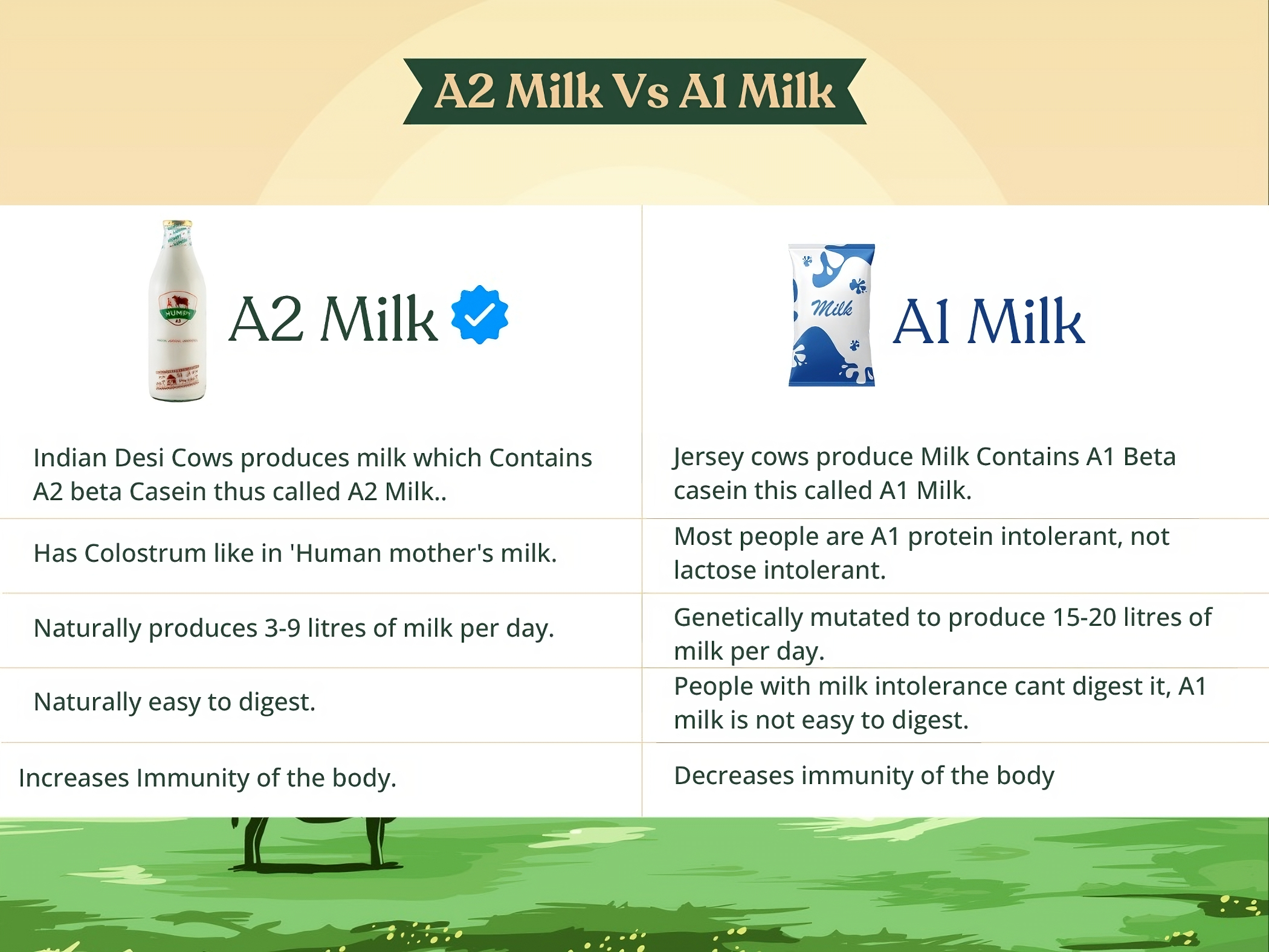 Desi Buffalo Milk (Pouch) – Humpy Farms