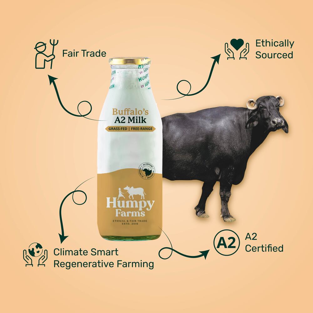 Desi Buffalo Milk (Glass Bottle)