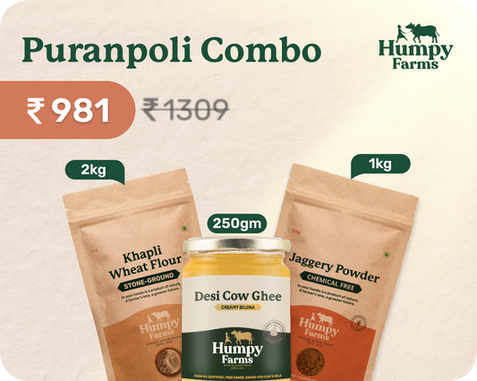 Puranpoli Combo
