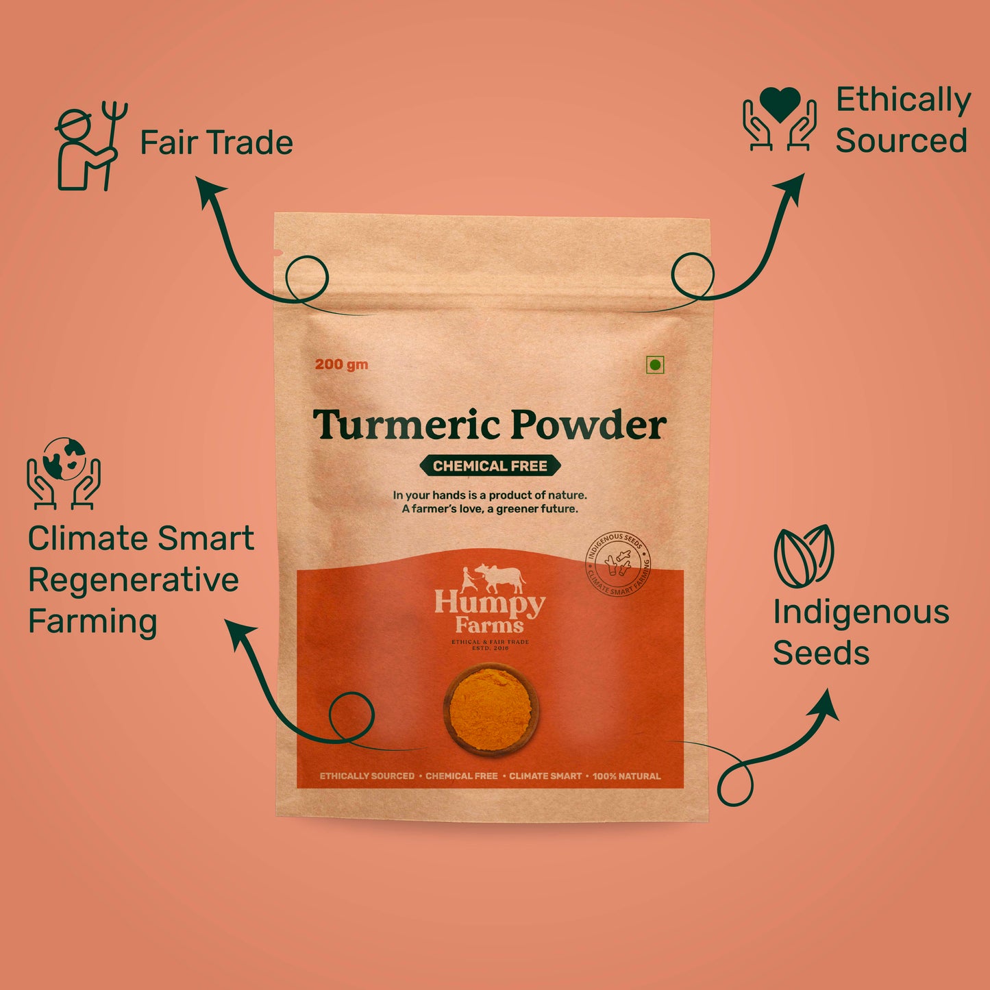 Turmeric Powder