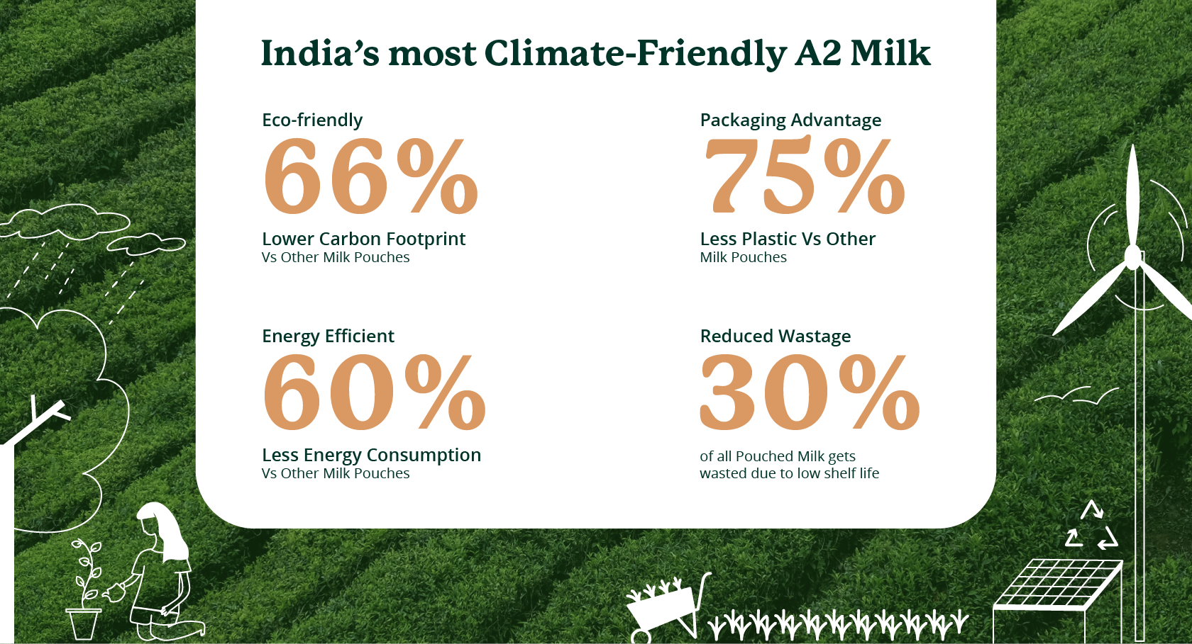 Desi Cow SMART Milk – Humpy Farms