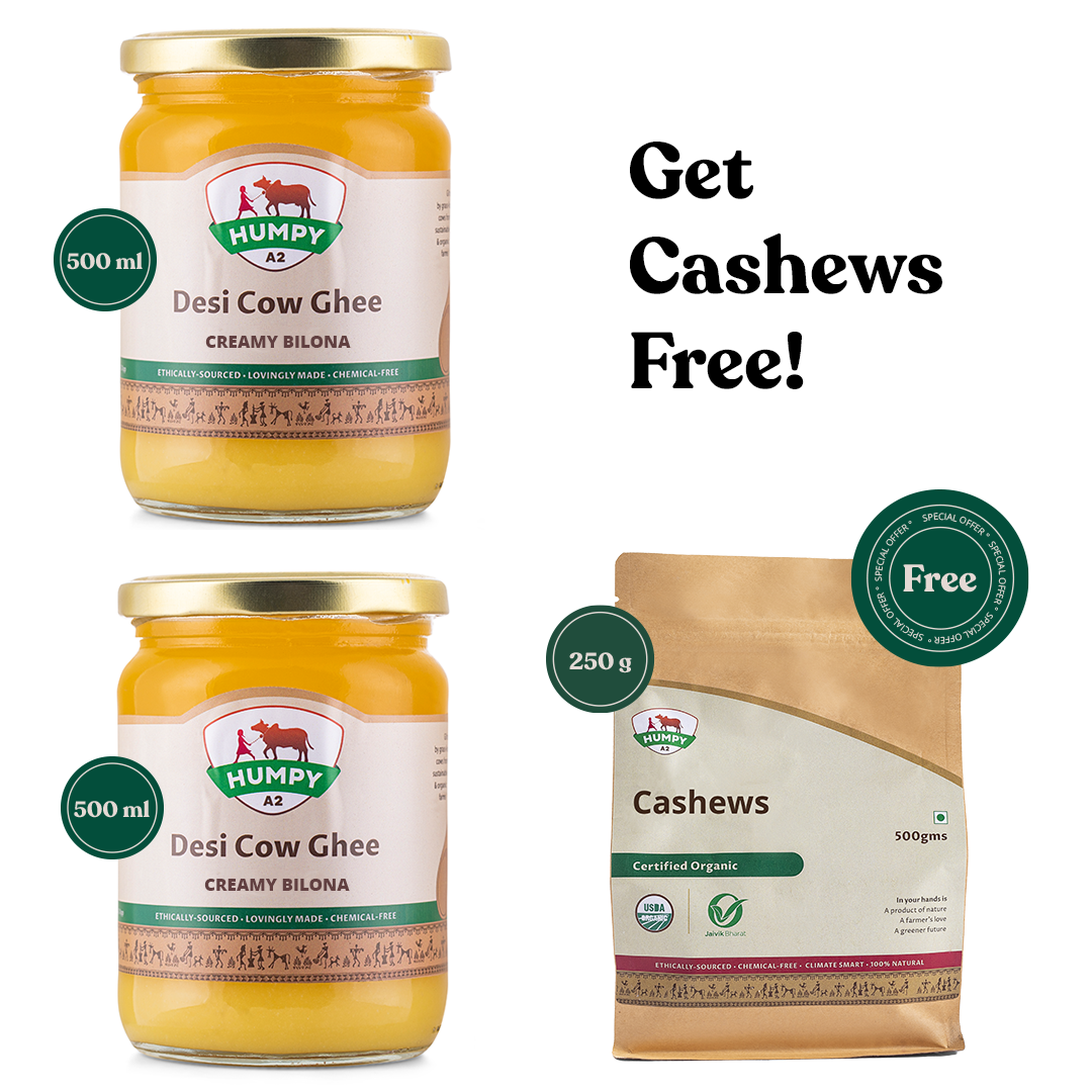 Buy 2 Creamy Bilona Ghee & Get Cashews Free
