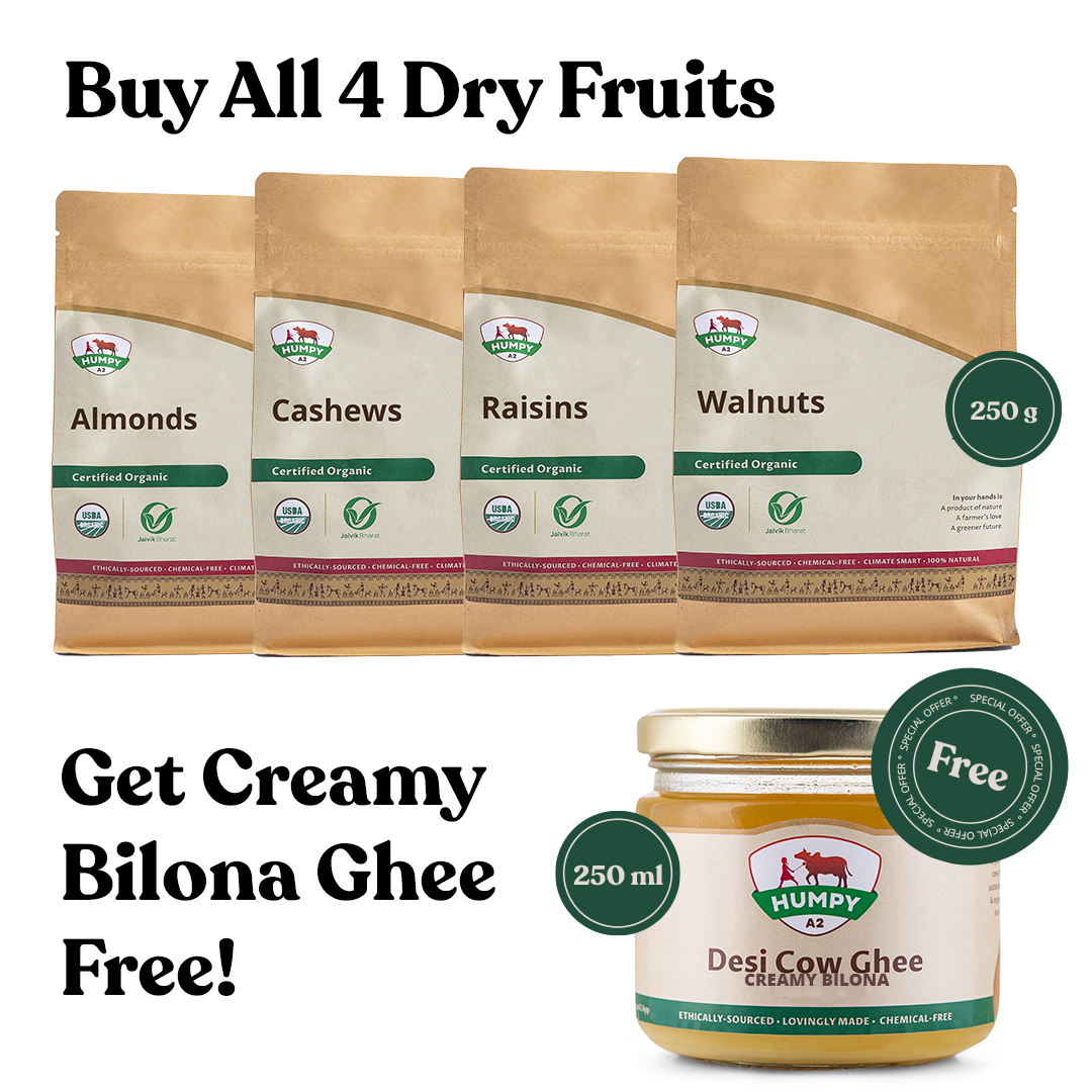 Buy Dry Fruits Combo & Get Vedic Bilona Ghee Free