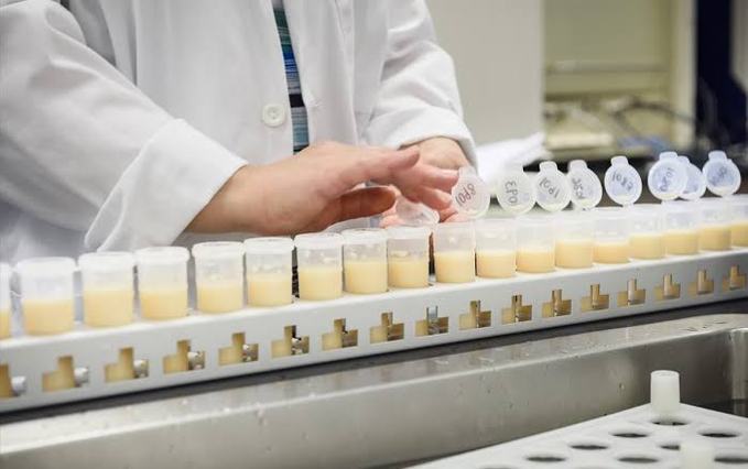 Milk samples lined up for testing